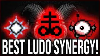 Is this THE BEST Ludovico Synergy?