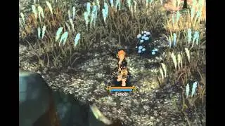 ToS Fencer Skill Attaque Coquille
