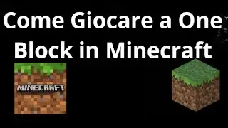 Come Giocare a One Block in Minecraft &mdash; Un Blocco