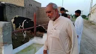ڈوگر ڈیری فارم ۱۸۹ ای بی گگوں منڈی