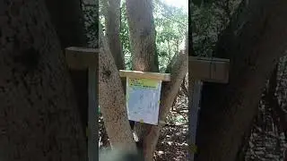 五岳山・火上山に登頂、不空成就如来像付近に設置してあった五岳山スタンプ頂きました。登山口の甘酒まんじゅうで駐車させて貰い感謝。急斜面続きでなかなかでした。 #祈願 #運動 #香川 #灼熱　 #甘酒