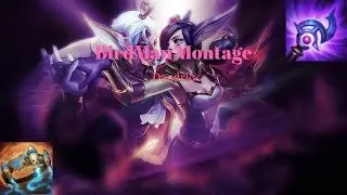 Diamond Bird man (Rakan) Montage