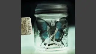 Possession