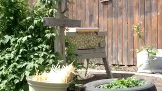 New Hive 2pm Orientation Flights
