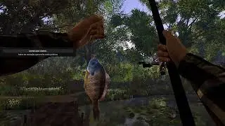 FISHING PLANET PARTE 2
