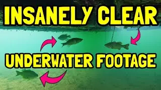 BIG BASS INSANELY CLEAR UNDERWATER FOOTAGE - Catching Bass Early Spring Dock Fishing W/Drop Shot!