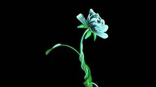Blooming flower#glowing flower#cinema4d#animation