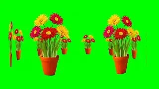 Greenscreen Video #shorts
