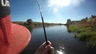 Bobber and Egg Salmon Fishing in West Richland, Washington