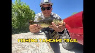 Multi-Species fishing along Tamiami Trail