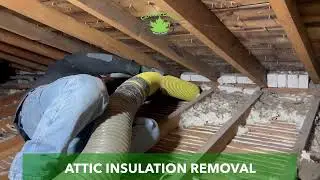 Insulation Removal-Removing Damaged, Decaying or Contaminated Attic Insulation
