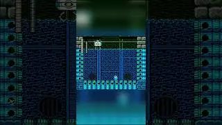 Rockman 3 VS Kamegoro Maker (Dr Wily stage 1)