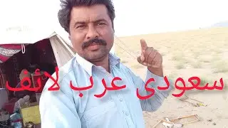 Saudi Arabia Desert Life | شہد مکی کا کام | کفیل کے ساتھ سچائی | بن ہلال کا خوبصورت سہرہ | Real Life