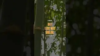 I BEND, BUT DO NOT BREAK