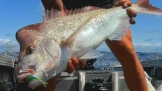 Big snapper!! soft plastics fishing off the Gold Coast, solo mission !