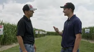 The Data Game | CROPLAN&reg; Seed