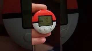 Taking The Pichu Trapped in Soul Silver Around The World!