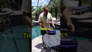 Robot Pool Cleaner Review:  Moolan Edition #shorts #moolan