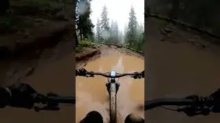 POV Desert Canyon MTB Ride: Speed, Dust, and Danger!