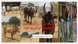 Kannapuram || Mattu || Santhai #கண்ணபுரம் மாட்டு சந்தை தேர் திருவிழா# 2024 || Episode - 66
