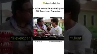 Call between Client,Developer& SAP Functional Consultant | meme |