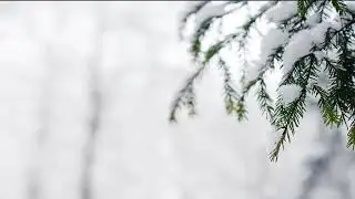 Robert Frost poem 