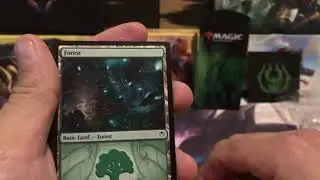 Golgari guild kit and Core 2019 Deck builder kit budget Magic!