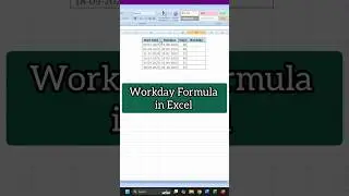 Workday Formula in Excel #excel