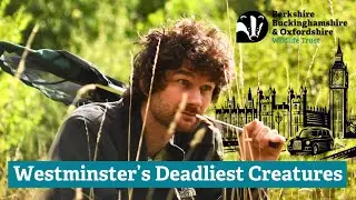 Westminster's Deadliest Creatures