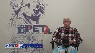 Pet Connection Lilly 12-2-25