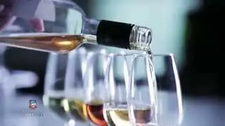 World of Wine: From Grape to Glass | AdelaideX on edX | Course About Video