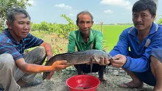 Cá Lóc 1,7kg Nấu Bánh Canh Nước Cốt Dừa Cho Ngày Săn Bắt Thất Thu.Góc Làng Quê#1054