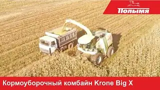 Комбайн Krone BiG X в работе на белорусских полях