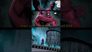 Spider-Man and Daredevil Help Each Other