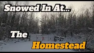 Snowed In at The Homestead, Alberta Canada