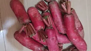 Mojadar Niramish Mulor Recipe