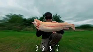 Ekstremt visuelt fiskeri, stor guld&oslash;rred p&aring; spot