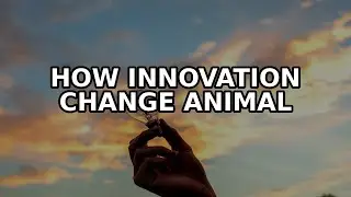 Crow Innovation That Will Change How You See Animal Genius