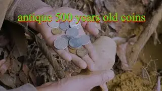antique 500 years old coins found under jungle of single tree