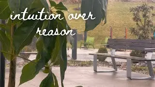 why does the 