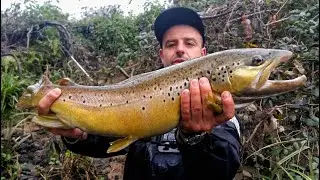 truchas xxl en rio turbio...BIG TROUT