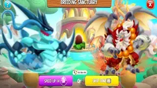 NEW BREEDING : HIGH TIDAL DRAGON AND HIGH FIGHTER DRAGON | DRAGON CITY