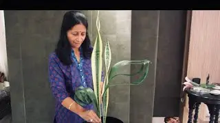Ikebana flower arangement