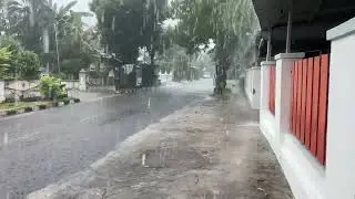 Meditate with Rain: Peaceful Sounds for Mindfulness