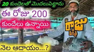 KHAN BHAI SUCCESS RABBIT FARM