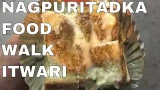 Nagpuritadka - Food walk at Dharaskar road, itwari, Nagpur | Parth Bajaj | Street food tour |