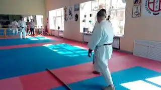 Exercise from World Champion WKF Hoang Nguyen Ngan / Moscow seminar 2018