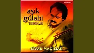 Sivas Madımakta Canlar
