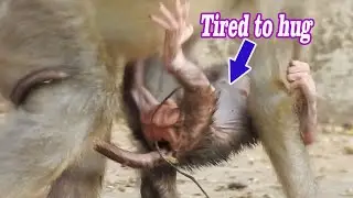 Pitiful..!Newborn baby Sami very tired try hang Mom | Young mom Sally Don't know How look after baby