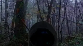 Deep Within The Shadow (Track 1 of The Shadow Paradox)